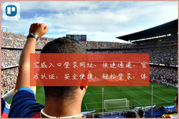 宝威入口登录网址，快速通道，官方认证，安全便捷，轻松登录，体验无忧